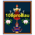 100proBau Galabau UG Potsdam