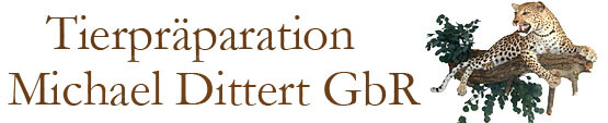 Logo Tierpräparation Michael Dittert GbR