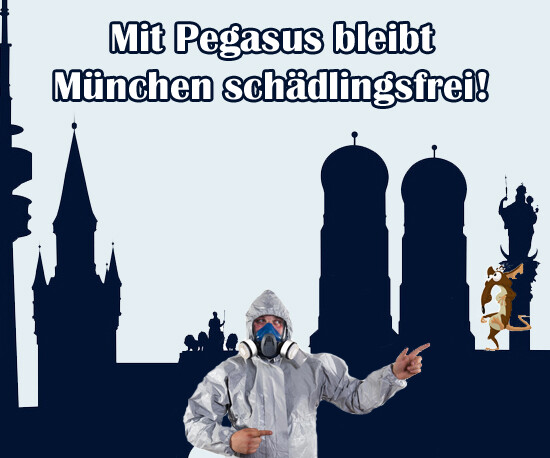 Bild der Pegasus Schädlingsbekämpfung München