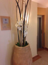 https://www.yelp.com/biz/hotel-amadeus-hannover