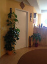 https://www.yelp.com/biz/jinda-massagen-u-body-therapy-hamburg
