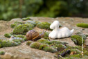 https://www.yelp.com/biz/wohnungsgenossenschaft-gartenheim-hannover