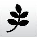 Logo Beautytreff Kunze
