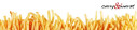 Logo curry&wurst