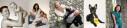 Logo Foto Hanauer am Ostendplatz