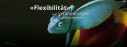Logo Kunz-Schulze-Ziegler