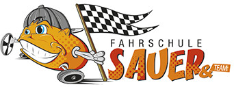 Fahrschule Sauer & Team GmbH in Trier - Logo