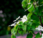 Profis im Garten Garten- und Landschaftsbau Dipl.-Ing.(FH) Benedikt Weidner