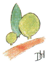 Logo Delle und Heinemann Garten- und Landschaftsbau GbR