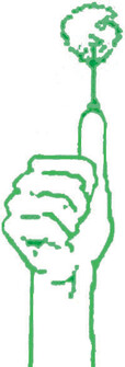 Die Grüne Hand Garten- und Landschaftsbau in Altenbeken - Logo