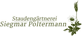 Staudengärtnerei Siegmar Poltermann Inhaber Björn Poltermann in Erfurt - Logo