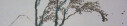 Logo Shiatsupraktikerin - Lydia Koch