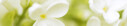 Logo Praxis für Ergotherapie Anke Thiele
