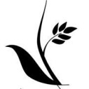 Logo Viet`s Vietnamese Cooking