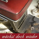 Logo wächst doch wieder 2