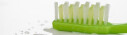 Logo Wetzel, Nicole