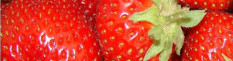 preview.image