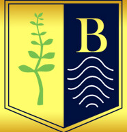 Botanico Pflanzenvermietung in Potsdam - Logo