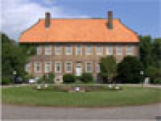 preview.image