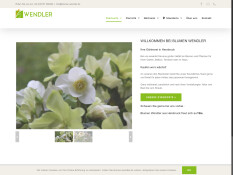 preview.image