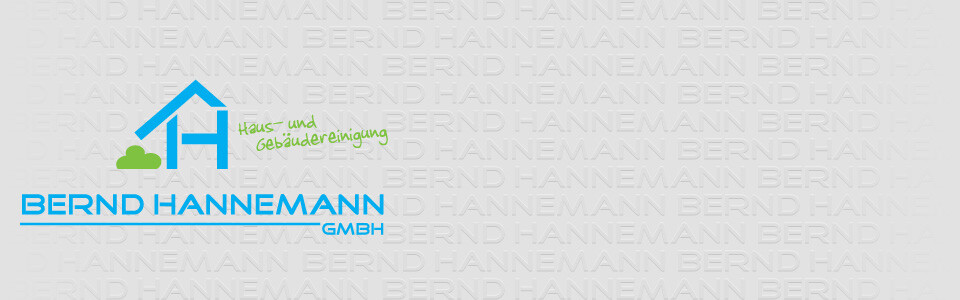 Bernd Hannemann GmbH in Berlin - Logo