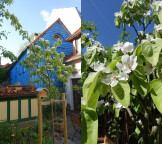 Picard' s Baumschule