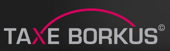 Logo von Taxi Borkus