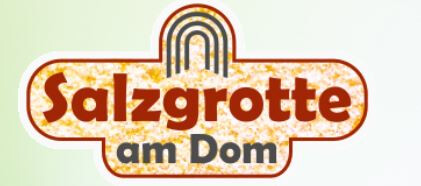 Salzgrotte am Dom in Freiberg in Sachsen - Logo