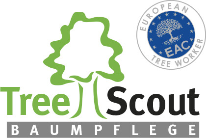 TreeScout Baumpflege in Freudenberg in Westfalen - Logo