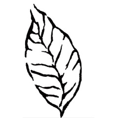 preview.image
