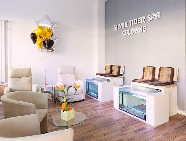 Silver Tiger Spa Cologne in Köln - Logo