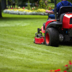 Haus- und Gartenservice Michael Schütt  Stockelsdorf