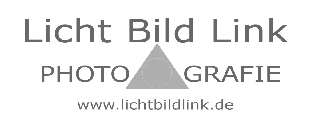 Licht Bild Link in Ingolstadt an der Donau - Logo