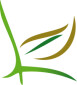 Leineweber Garten- und Landschaftsbau Meisterbetrieb in Bodenheim am Rhein - Logo