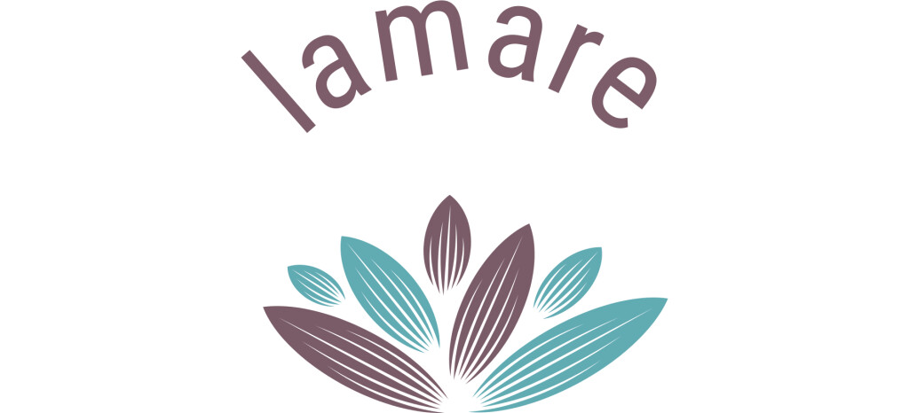 Lamare Buchhaltungsservice in Breitenworbis - Logo