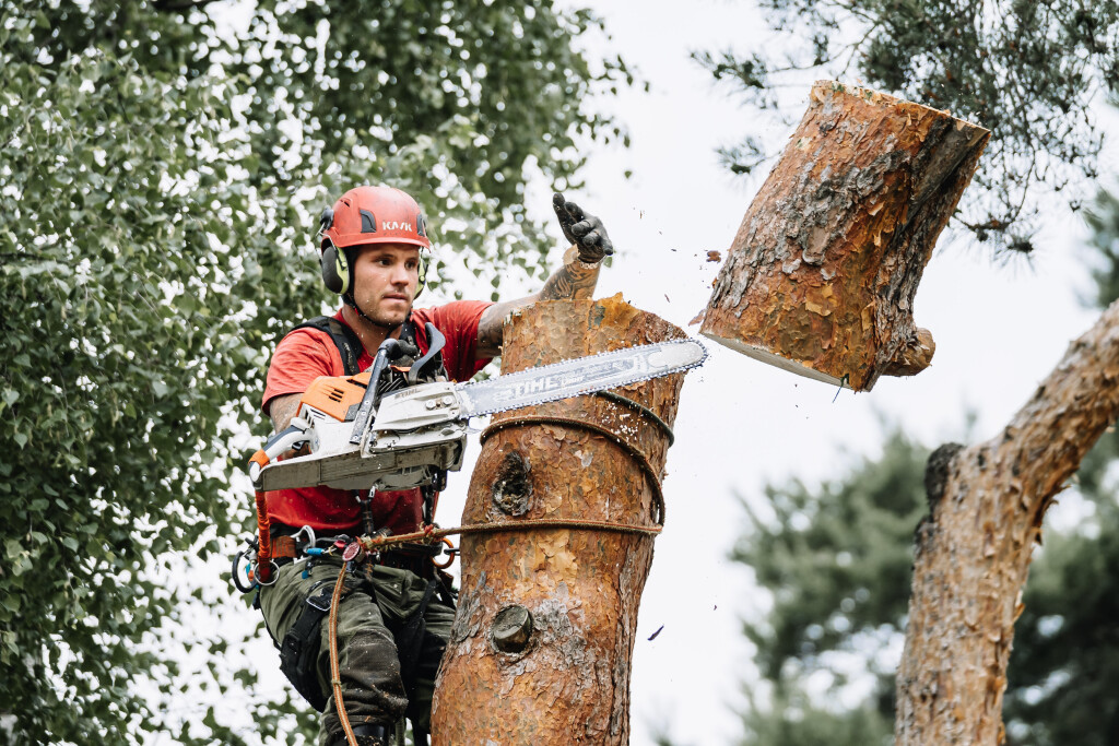 Baum Schmidt GmbH - Fachbetrieb für Baum & Garten in Groß Kreutz - Logo