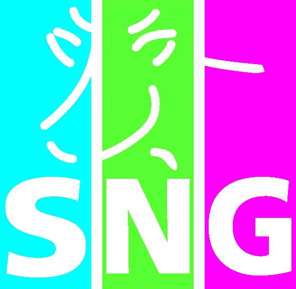 SNG Immobilien- und Versicherungsmakler GmbH in Lommatzsch - Logo