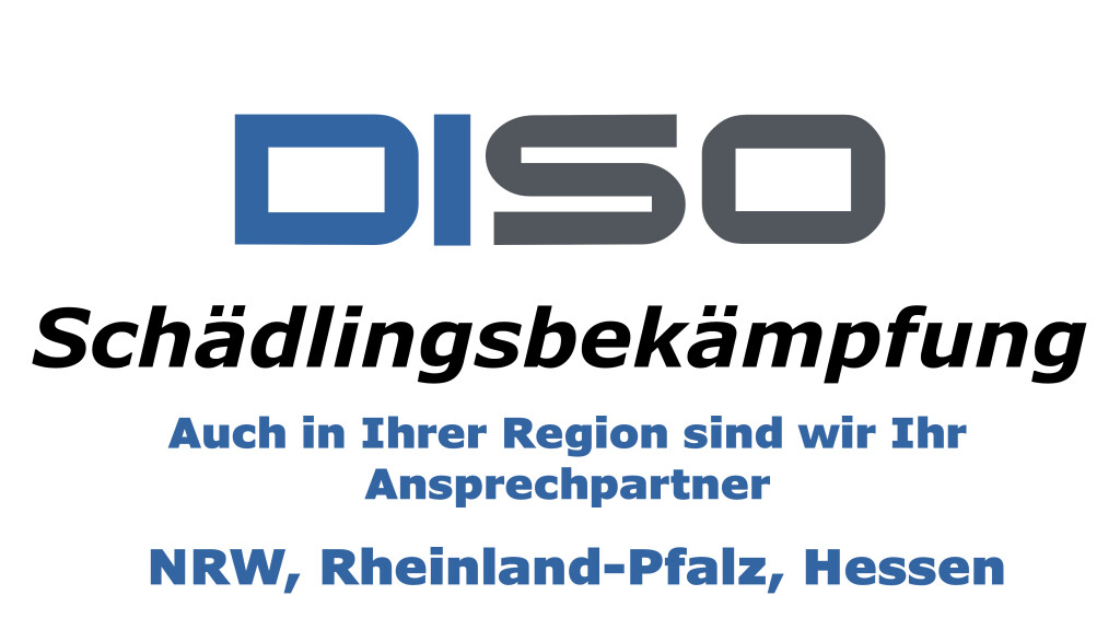 Logo von DISO Schädlingsbekämpfung