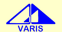 VARIS Dienstleistungs GmbH in Stadtroda - Logo