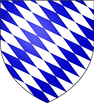 TSS Sicherheitsdienst in Passau - Logo