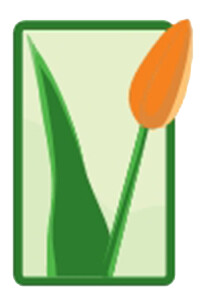 Blumen Hamm in Tübingen - Logo