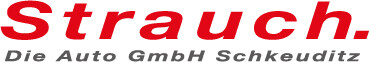 Die Auto GmbH Schkeuditz in Schkeuditz - Logo