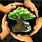 Wischcraft Sabrina Schreiner