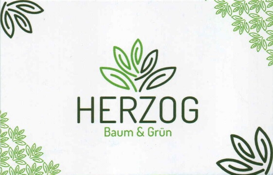 Herzog Baum und Grün in Döbeln - Logo