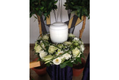 preview.image
