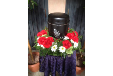 preview.image