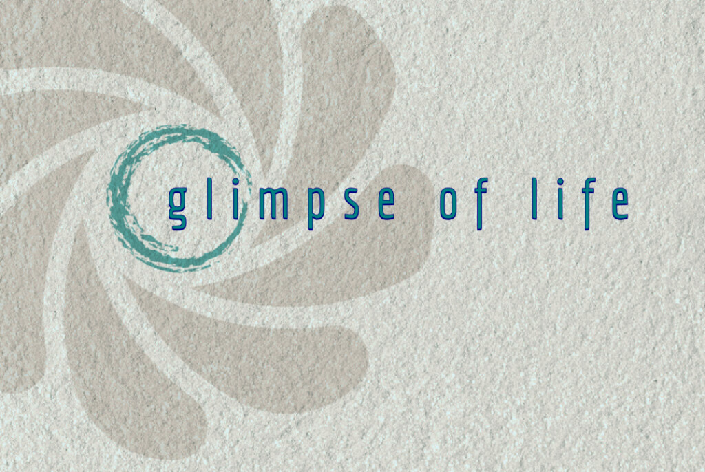 Glimpse of Life - Fotografie in Landshut - Logo