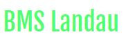Logo von BMS Landau