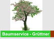 Baumservice Grüttner in Cremlingen - Logo