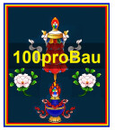 100proBau Galabau UG